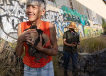 She helps trap 50 feral cats a week. Her dream? Cat rescuers in every L.A. neighborhood