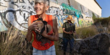 She helps trap 50 feral cats a week. Her dream? Cat rescuers in every L.A. neighborhood