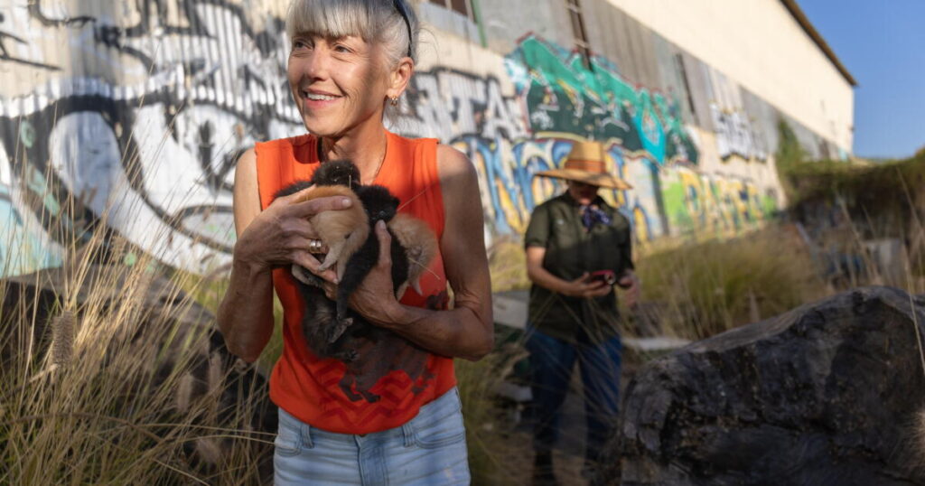 She helps trap 50 feral cats a week. Her dream? Cat rescuers in every L.A. neighborhood