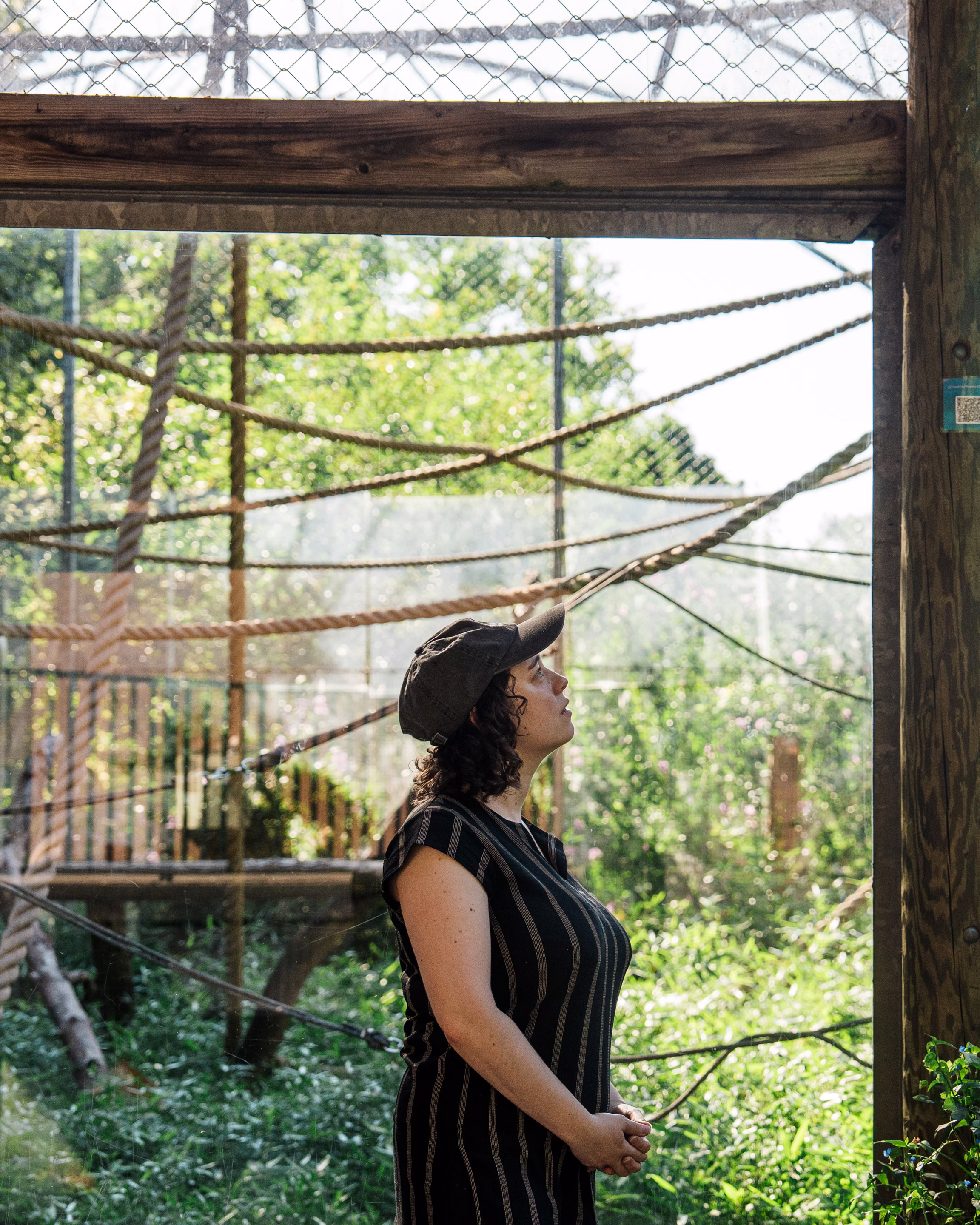 a woman looks up at a zoo enclosure