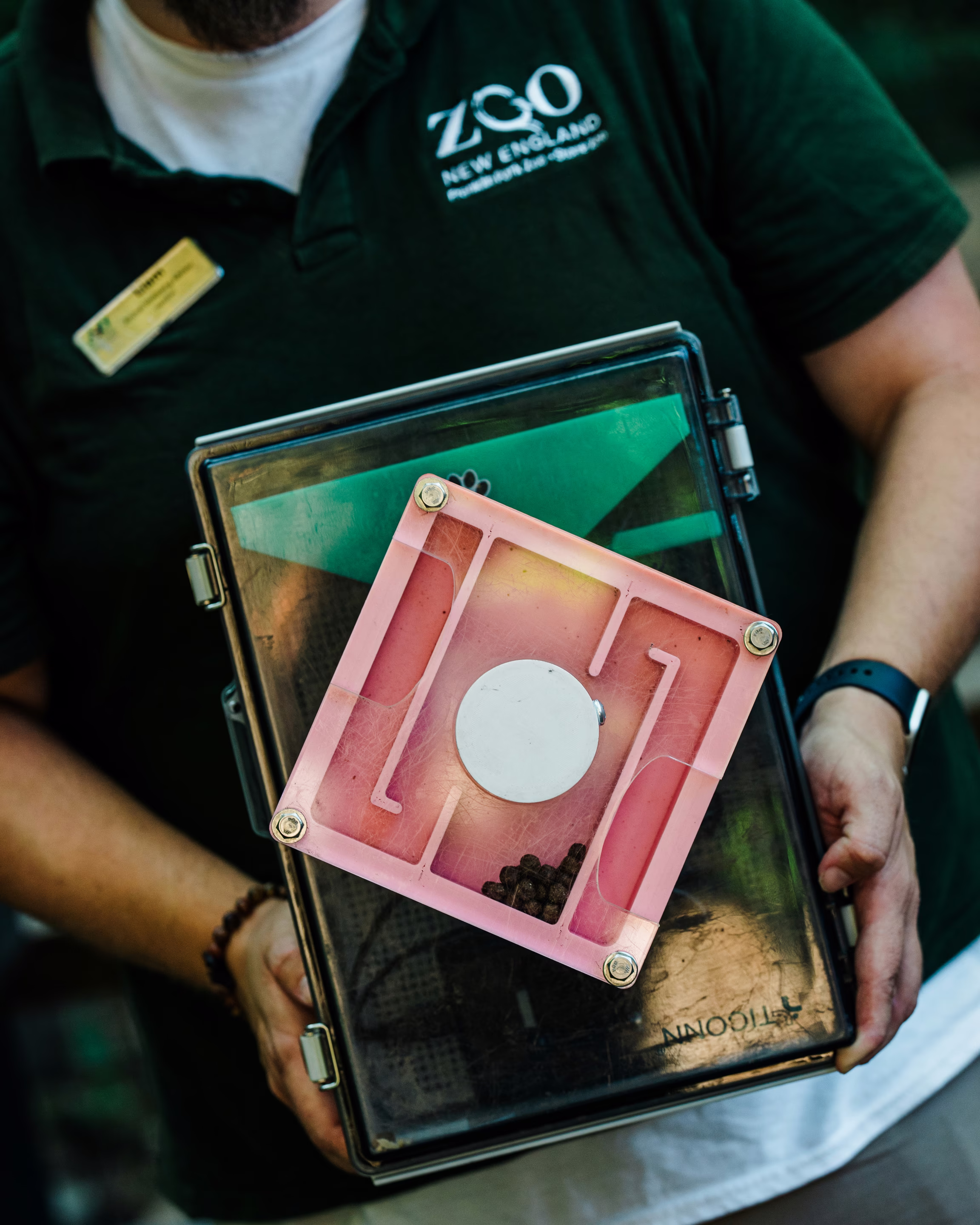 a person holds a puzzle box