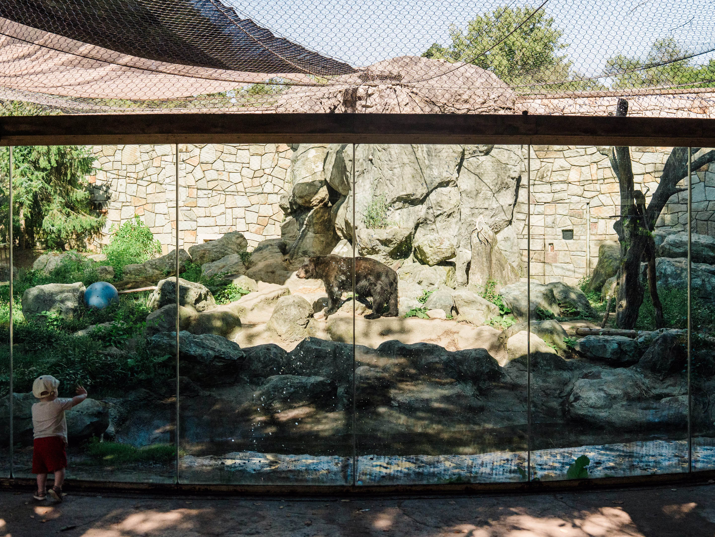 bear enclosure at a zoo
