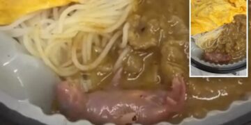 Horrified diner discovers hairless, newborn rat squirming in takeout meal
