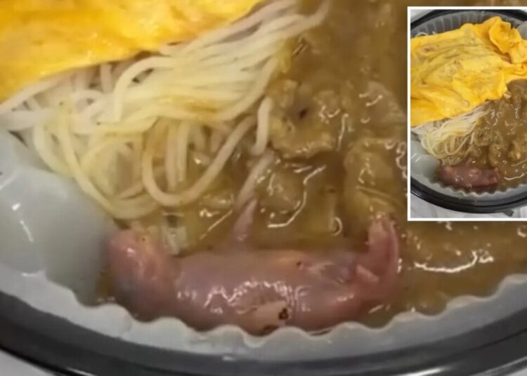 Horrified diner discovers hairless, newborn rat squirming in takeout meal