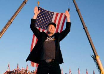 How Much Elon Musk Is Too Much? A Four-Hour Film Weighs In.