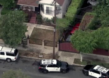LAPD officers fatally shoot man with tree trimmer in Boyle Heights
