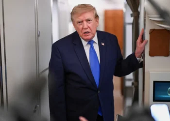 Trump is becoming one of the very socialists he is attacking: GOP strategist