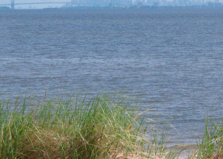 Court Halts New York Harbor Gas Pipeline Backed by Trump
