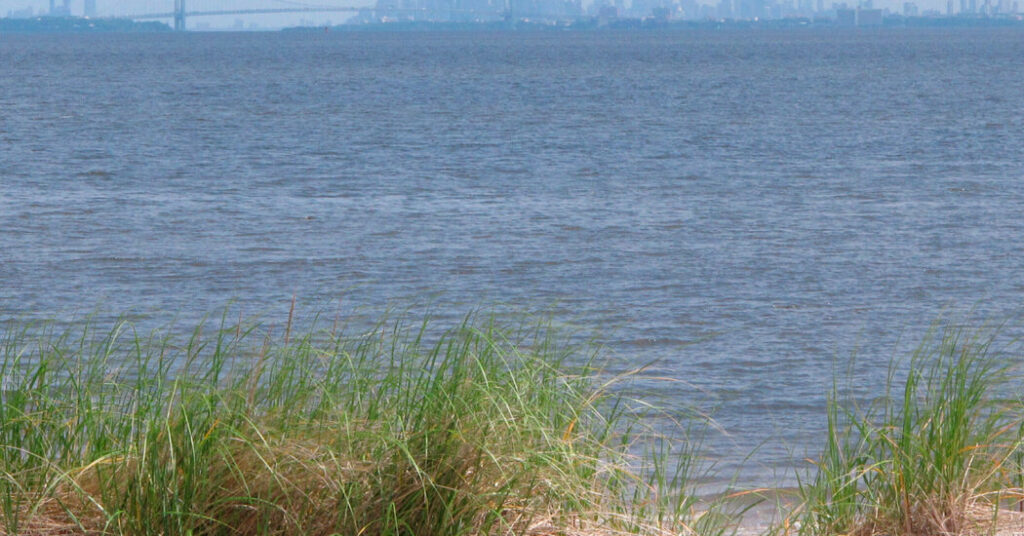 Court Halts New York Harbor Gas Pipeline Backed by Trump