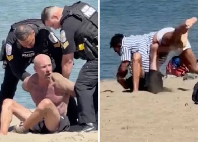 Wild brawl breaks out on California beach as martial artist describes violent dust-up: ‘ran into the wrong person’