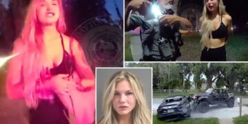 Drunk Florida driver crashes into parked car, punches owner — tells cops ‘I thought we were friends’