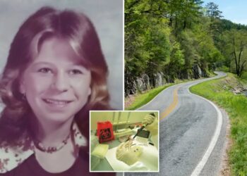 North Carolina cold case takes grim turn after remains identified as runaway 15-year-old girl missing since 1977