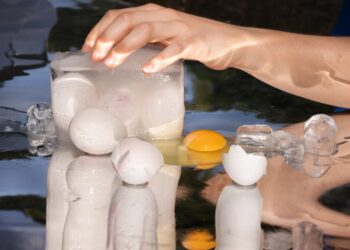 There’s a Hot New Egg-Freezing Startup. It’s Weirder Than You Could Imagine