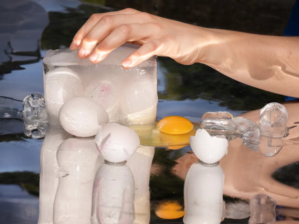 There’s a Hot New Egg-Freezing Startup. It’s Weirder Than You Could Imagine