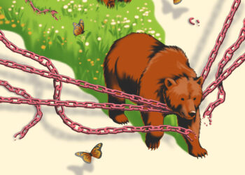 Grizzlies are thriving. This is the next step.