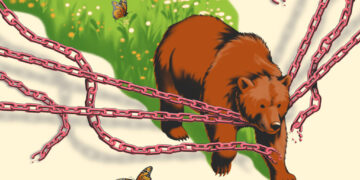 Grizzlies are thriving. This is the next step.