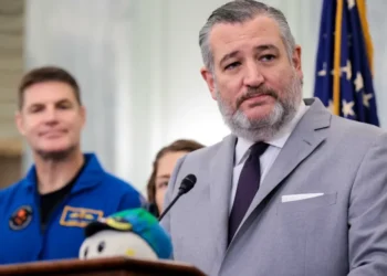 ‘Such a coward’: Ted Cruz’s ‘courage disappears’ defending Trump’s 9/11 claim: critics