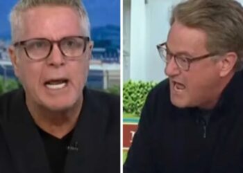 ‘Do I look stupid to you?’ Morning Joe erupts amid on-air screaming match