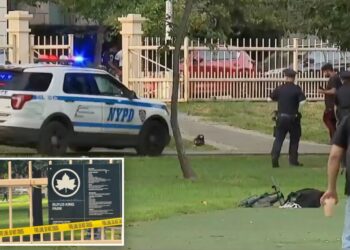 Maniac beats man to death with two-by-four in NYC park: sources