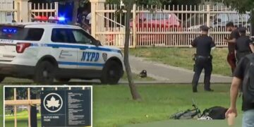 Maniac beats man to death with two-by-four in NYC park: sources