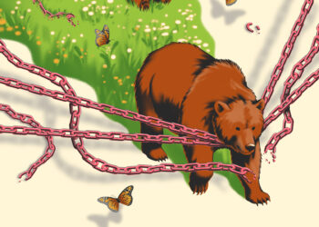 Grizzlies are thriving. The next step shouldn’t be controversial.