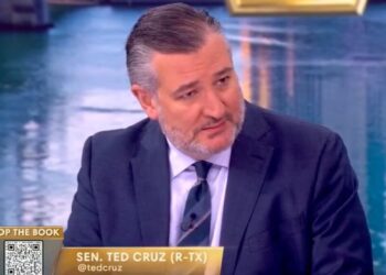 ‘The View’ Hosts Groan at Ted Cruz Giving Trump an A on the Economy and Prices: ‘Come On, It’s Us’