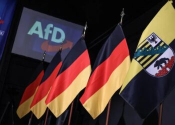 A Nazi-curious party just won big in Germany. The White House approves.