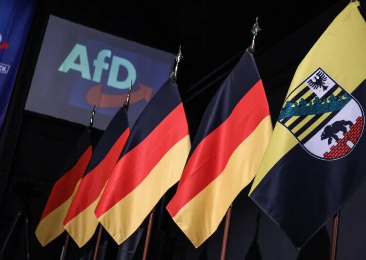 A Nazi-curious party just won big in Germany. The White House approves.