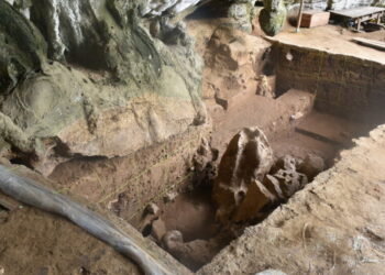 Scientists Discover the Earliest Evidence of Drug Use in Really Old Teeth