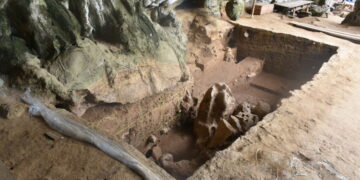Scientists Discover the Earliest Evidence of Drug Use in Really Old Teeth