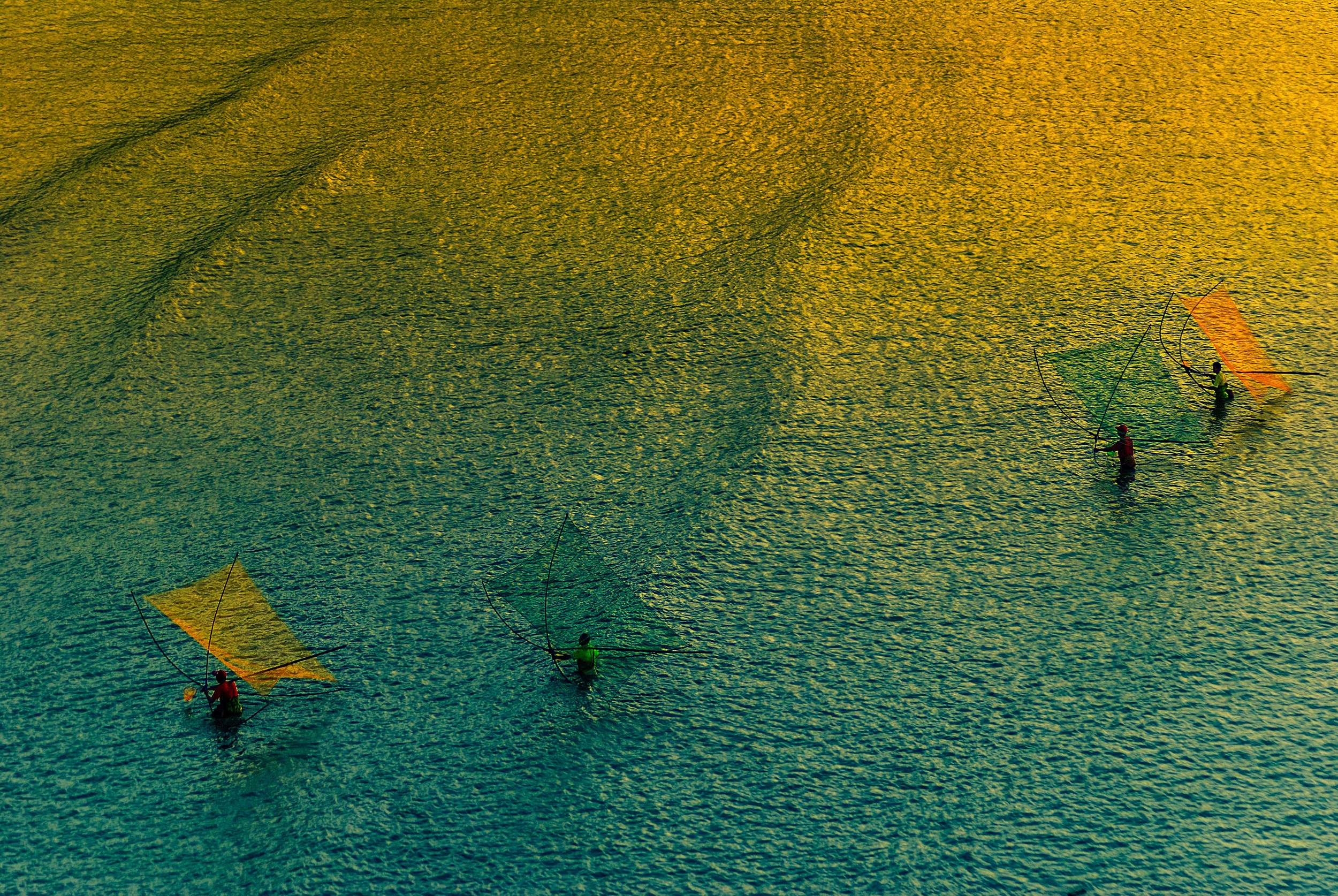 Four people stand in shallow water, holding up fishing-net rigs.