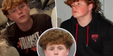 KJ Biermann, 15, too immature to face adult charges — and 25-year prison sentence without parole — for sodomy, sexual battery charges, lawyer claims