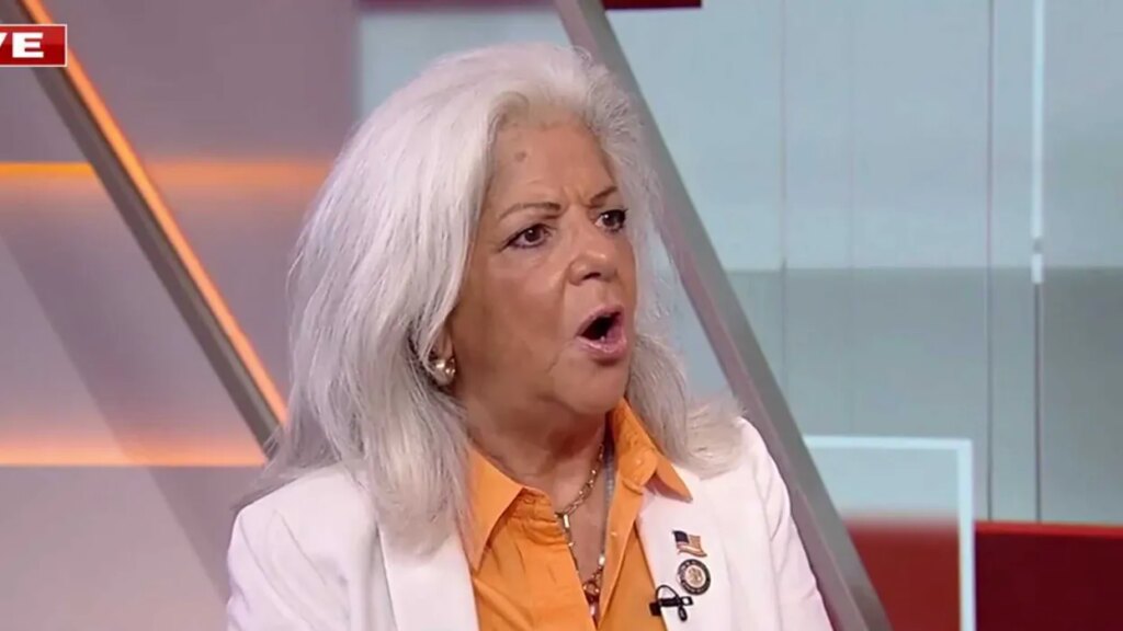 GOP official catches herself after Fox News remark: ‘Don’t you dare call us racist!’