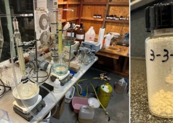 Man Announces That He Has Synthesized a New Schizophrenia Treatment in His Garage, Based on a Formula Devised by ChatGPT