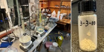 Man Announces That He Has Synthesized a New Schizophrenia Treatment in His Garage, Based on a Formula Devised by ChatGPT