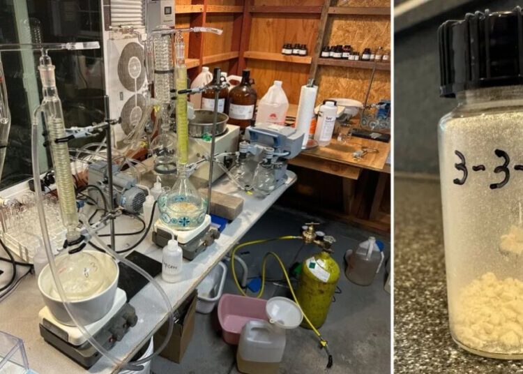 Man Announces That He Has Synthesized a New Schizophrenia Treatment in His Garage, Based on a Formula Devised by ChatGPT