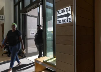 MAGA activist who targeted thousands of voters lands state election job: report