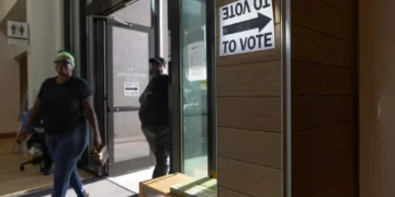 MAGA activist who targeted thousands of voters lands state election job: report