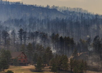 With support from loggers and (some) environmentalists, Congress unites on major wildfire bill