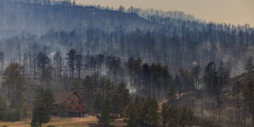 With support from loggers and (some) environmentalists, Congress unites on major wildfire bill