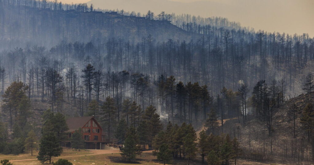 With support from loggers and (some) environmentalists, Congress unites on major wildfire bill