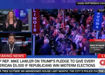 ‘That’s not what I asked!’ Kasie Hunt shuts down Mike Lawler’s dodge on Trump socialism