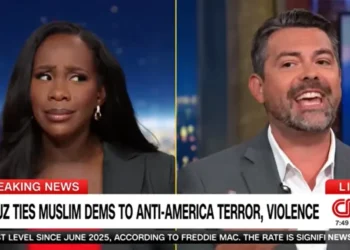 GOP pundit baffles with ‘ridiculous’ defense of Ted Cruz: ‘Excuse me, what?’