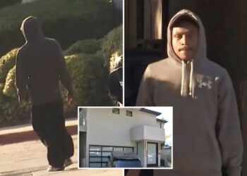 Wild twist as victim of Hollywood Hills home invasion unmasked as squatter