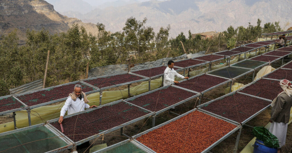 Why Mokha, Historic Port That Shaped the Coffee Trade, Is a Prize in Yemen’s War