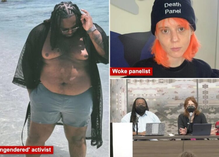 ‘Ungendered’ activist claims GLP-1s are ‘fascist’ and ‘genocide fat people’ in  unhinged moment during DSA conference