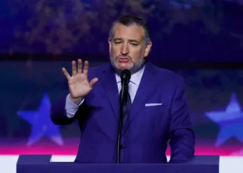‘You suck!’: Ted Cruz humiliated by booing Texas football fans
