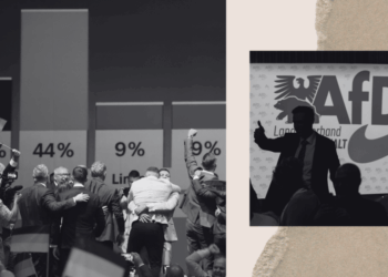 The AfD’s Dark Agenda for Germany