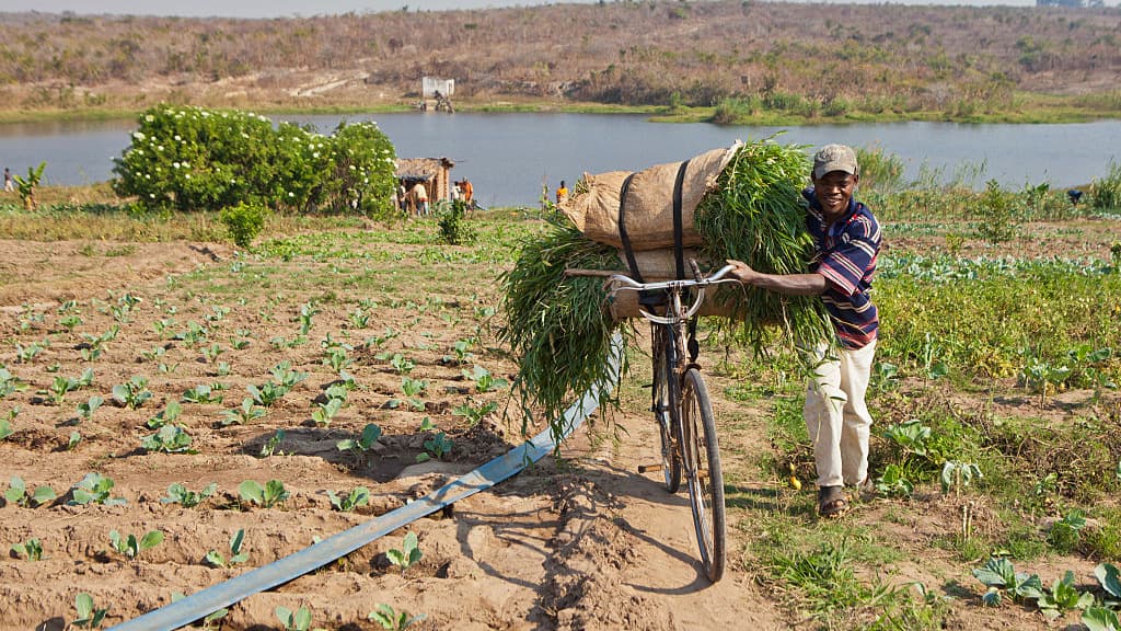 Will Africa’s Next Growth Story Start on the Farm?