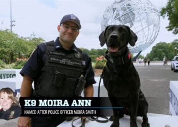 NYPD names K-9s after fallen 9/11 heroes — read the stories behind each of NY’s Finest